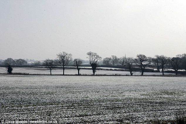 Image of Richard The Third - True Location Of Battle Of Bosworth Feb 2010