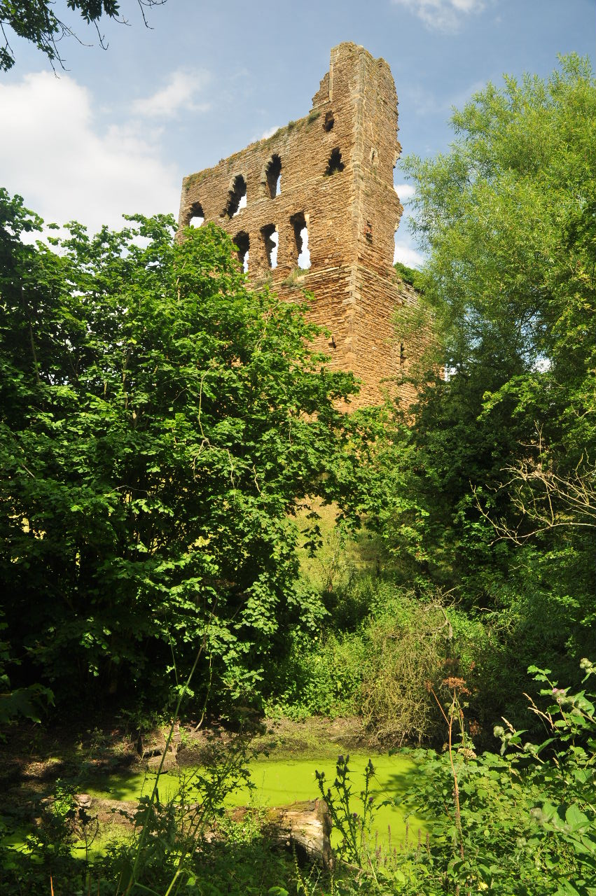 Image of Castle And Remains Of Moat
